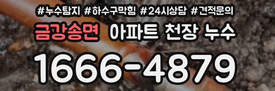 금강송면 아파트 천장 누수
