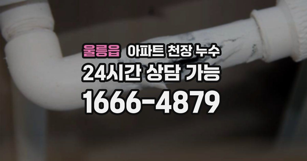 울릉읍 아파트 천장 누수
