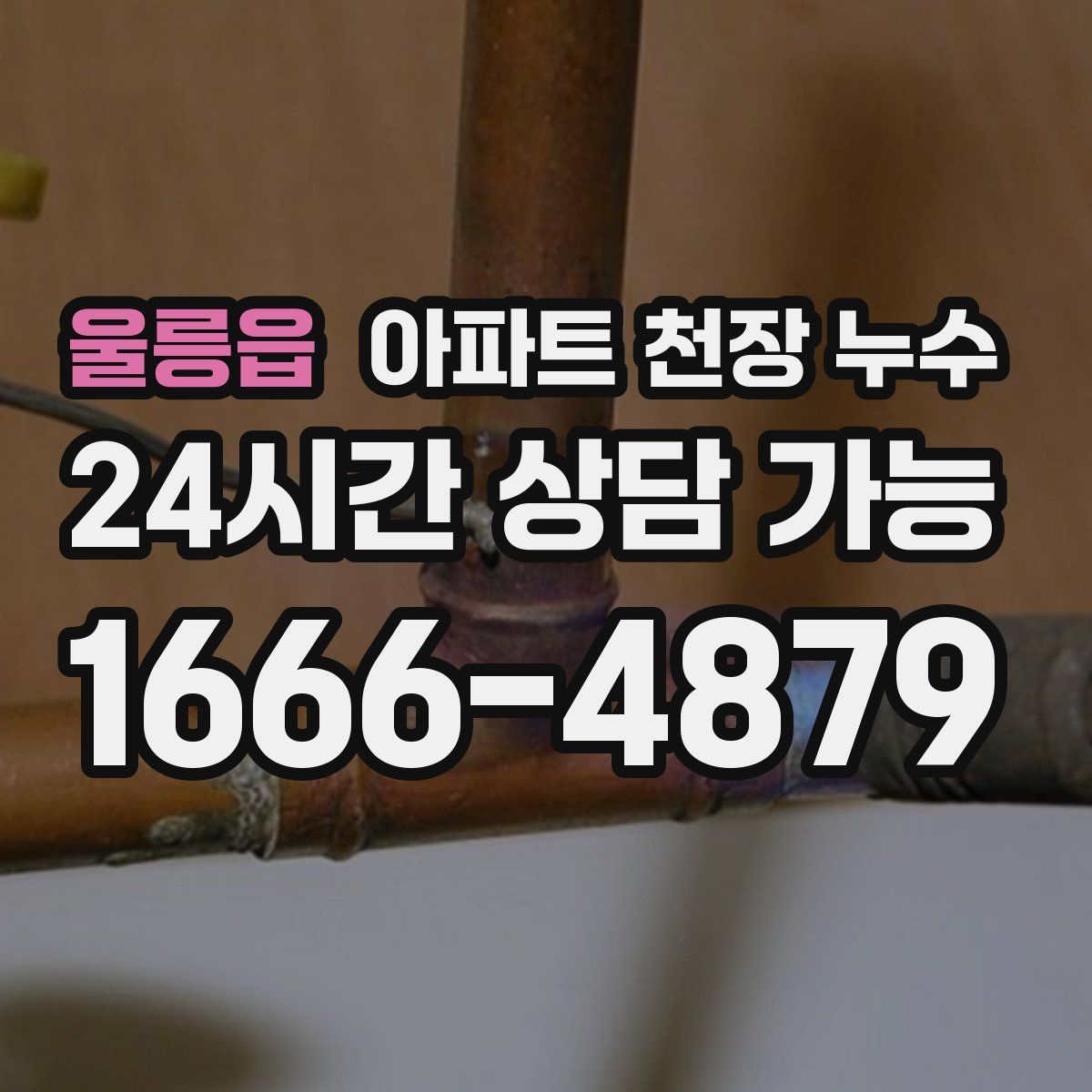 울릉읍 아파트 천장 누수