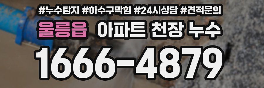 울릉읍 아파트 천장 누수