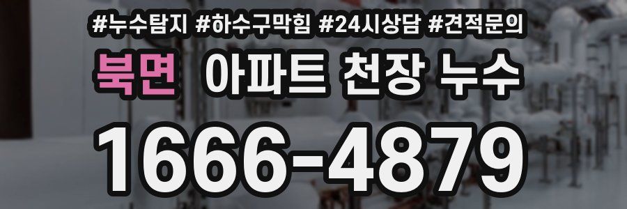 북면 아파트 천장 누수