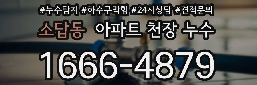 소답동 아파트 천장 누수