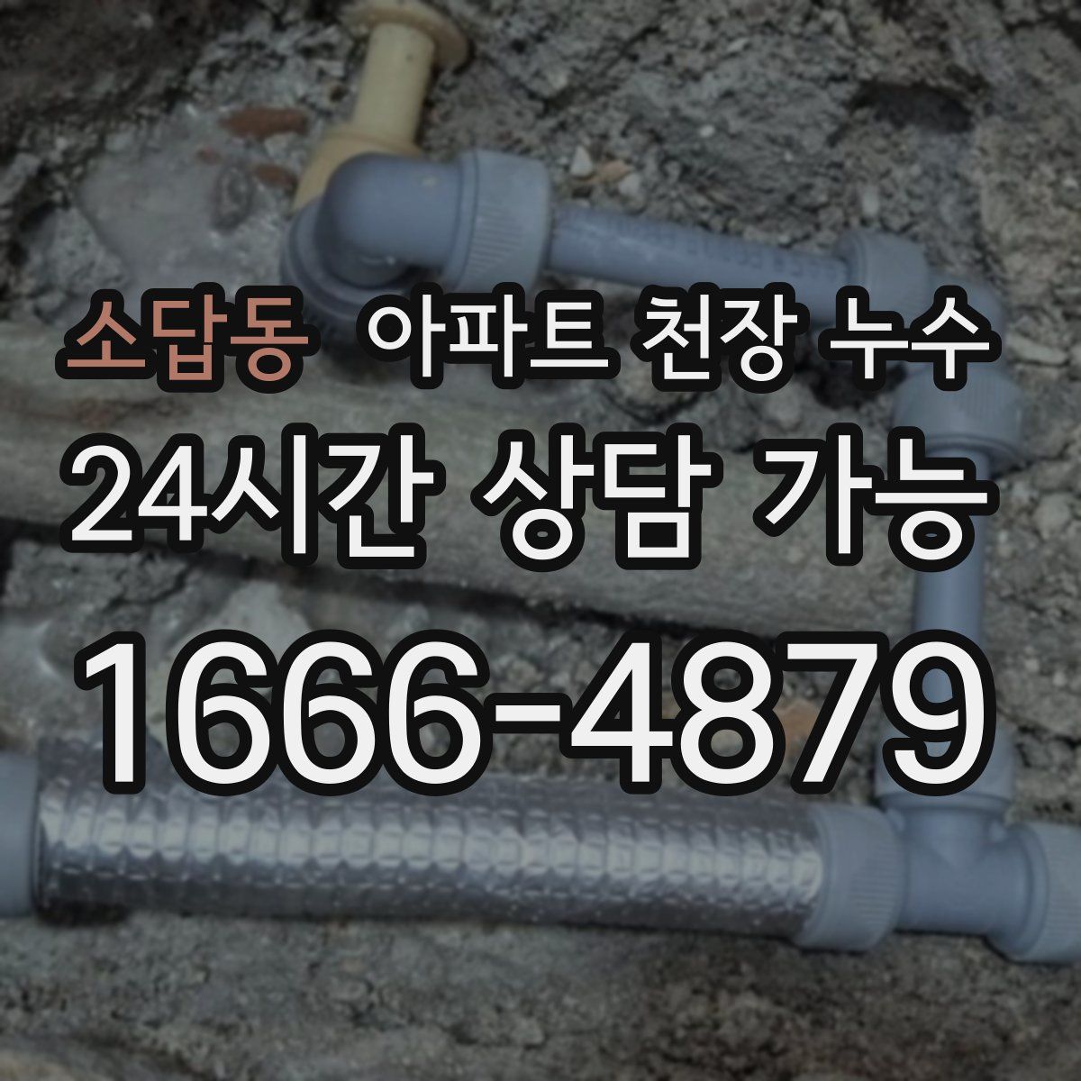 소답동 아파트 천장 누수