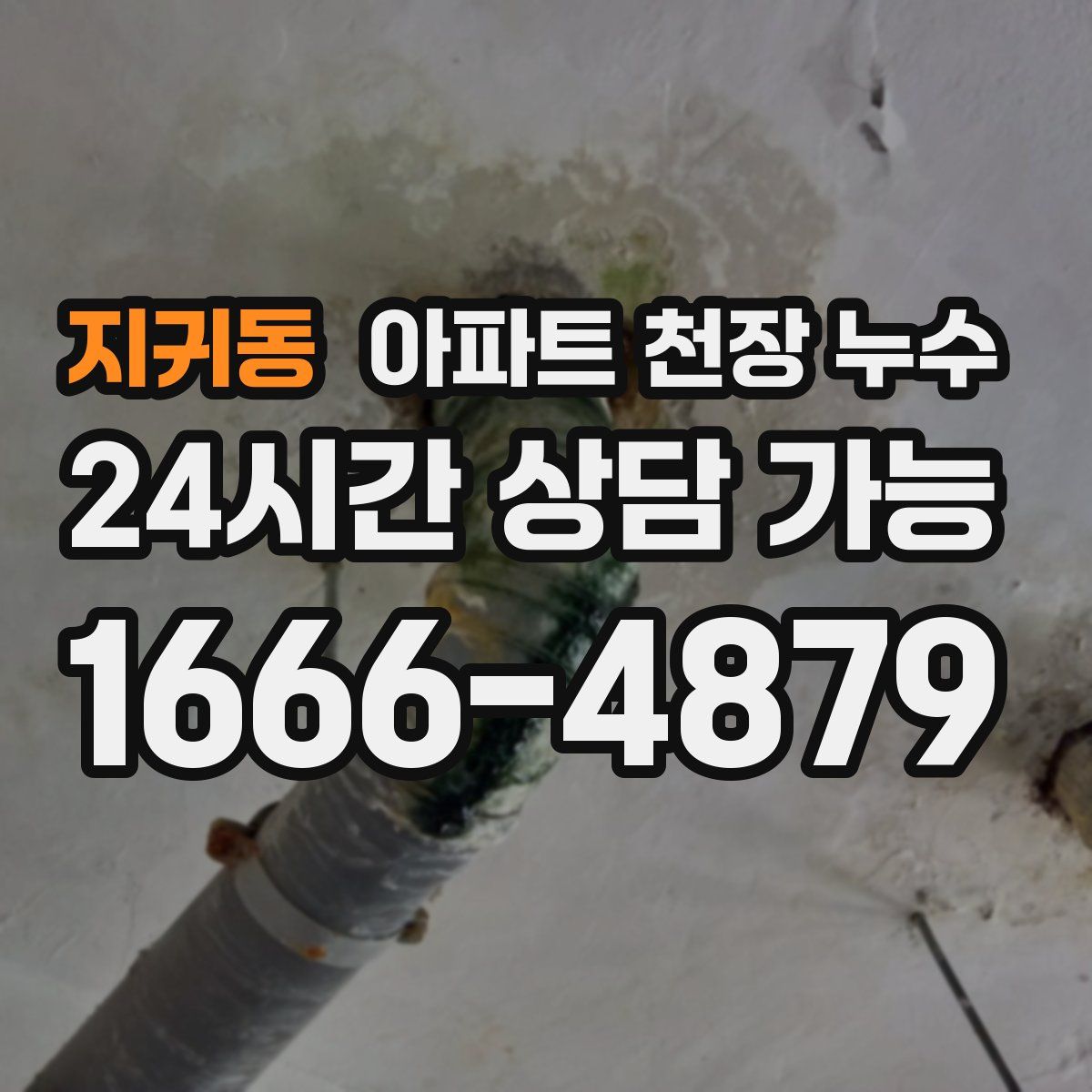지귀동 아파트 천장 누수