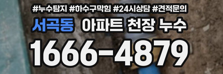서곡동 아파트 천장 누수