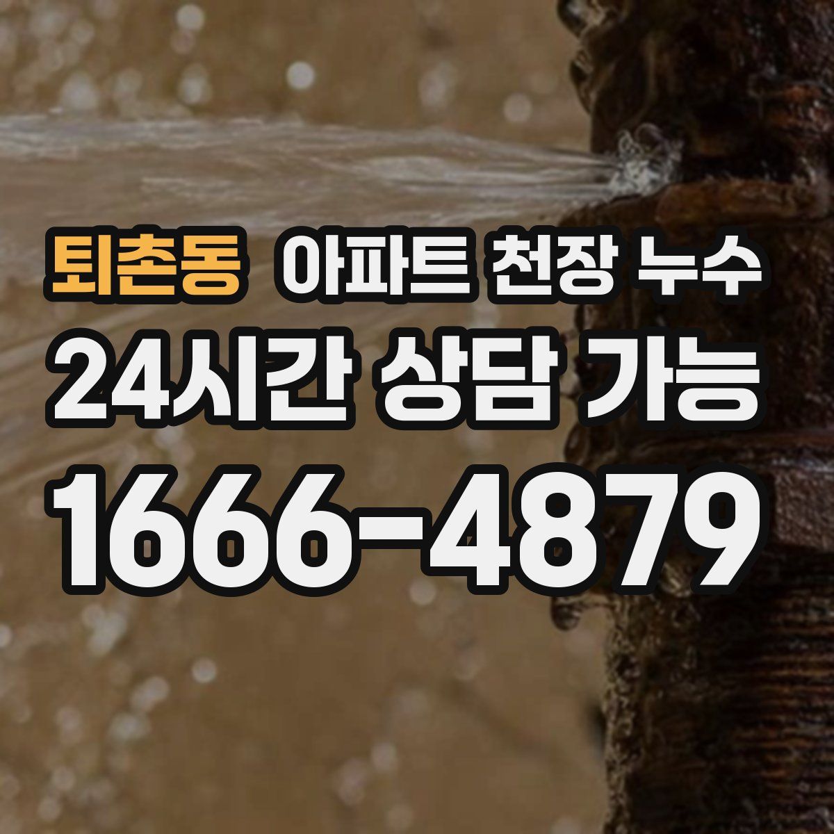 퇴촌동 아파트 천장 누수