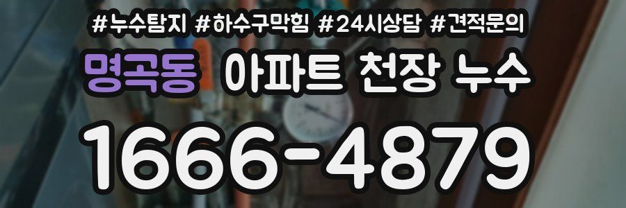 명곡동 아파트 천장 누수
