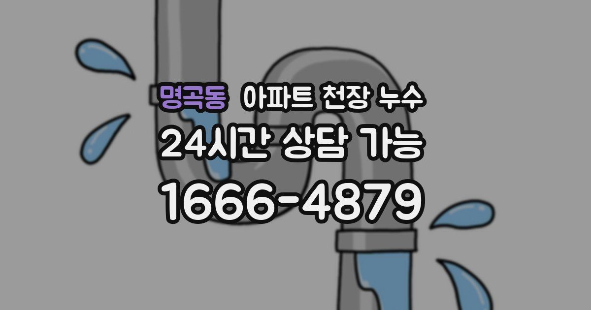 명곡동 아파트 천장 누수