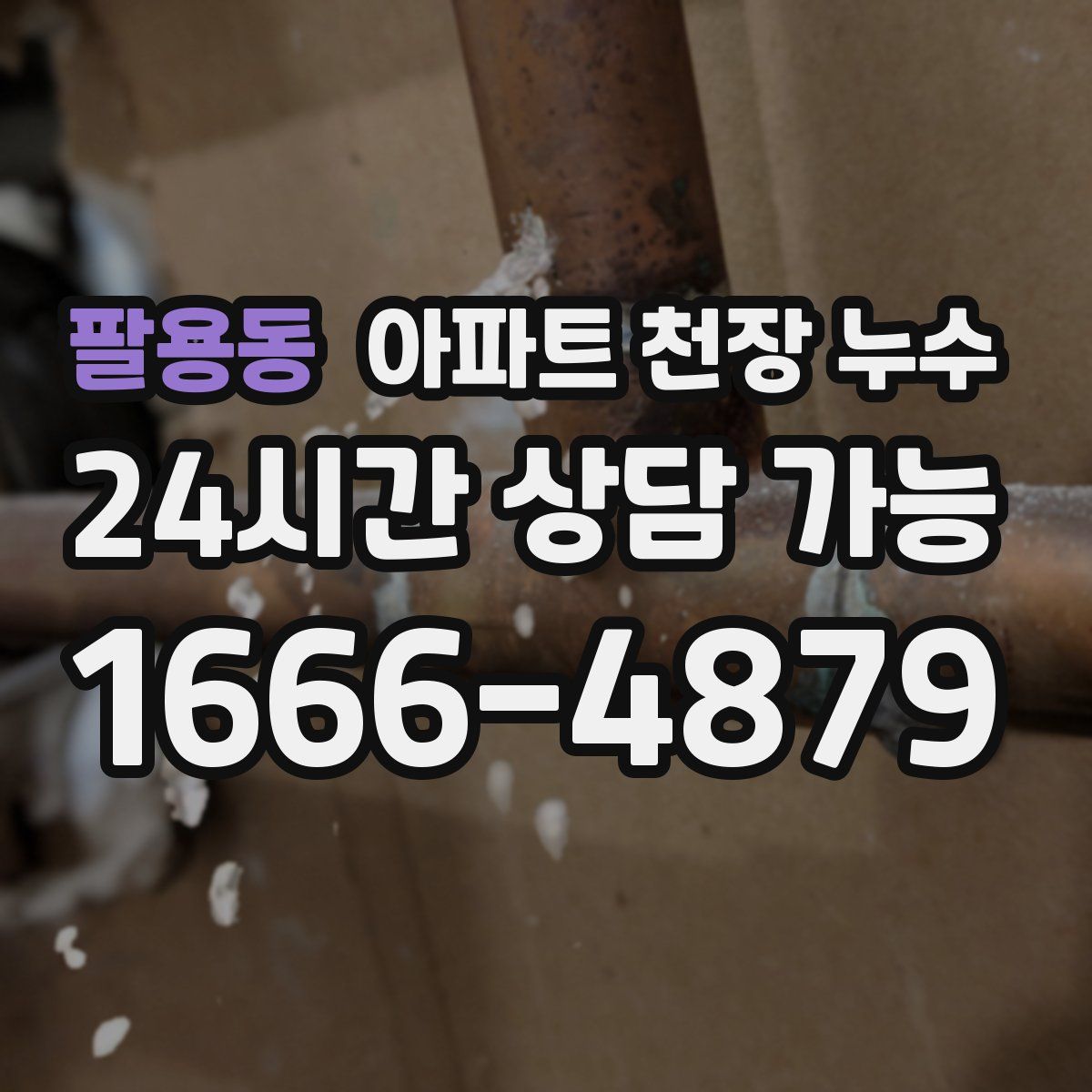 팔용동 아파트 천장 누수