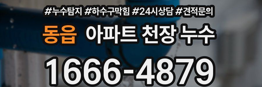 동읍 아파트 천장 누수