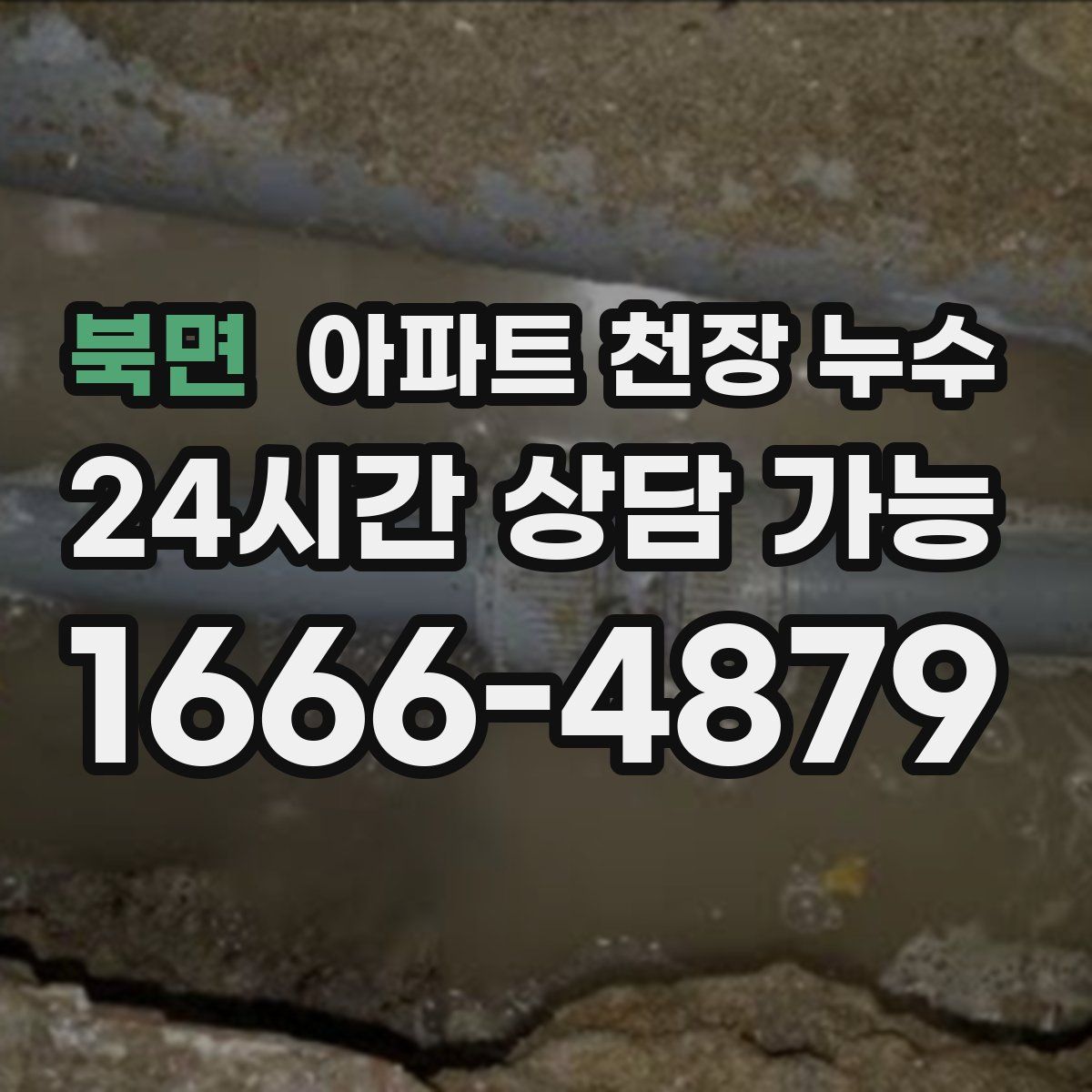 북면 아파트 천장 누수