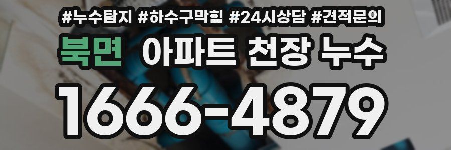 북면 아파트 천장 누수