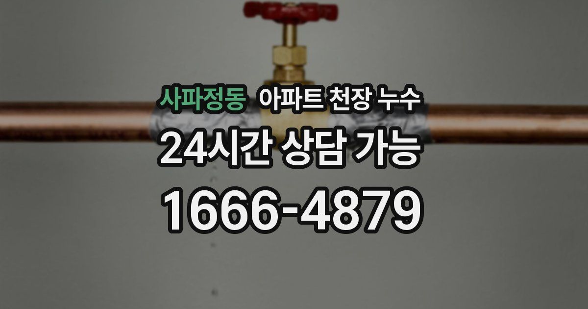 사파정동 아파트 천장 누수