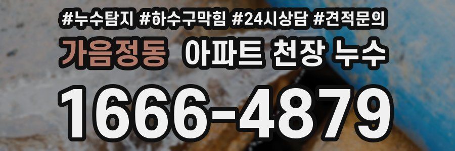 가음정동 아파트 천장 누수