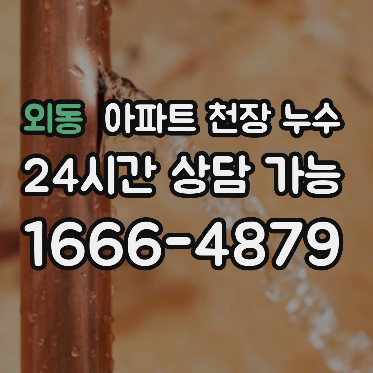 외동 아파트 천장 누수