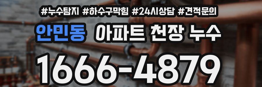 안민동 아파트 천장 누수
