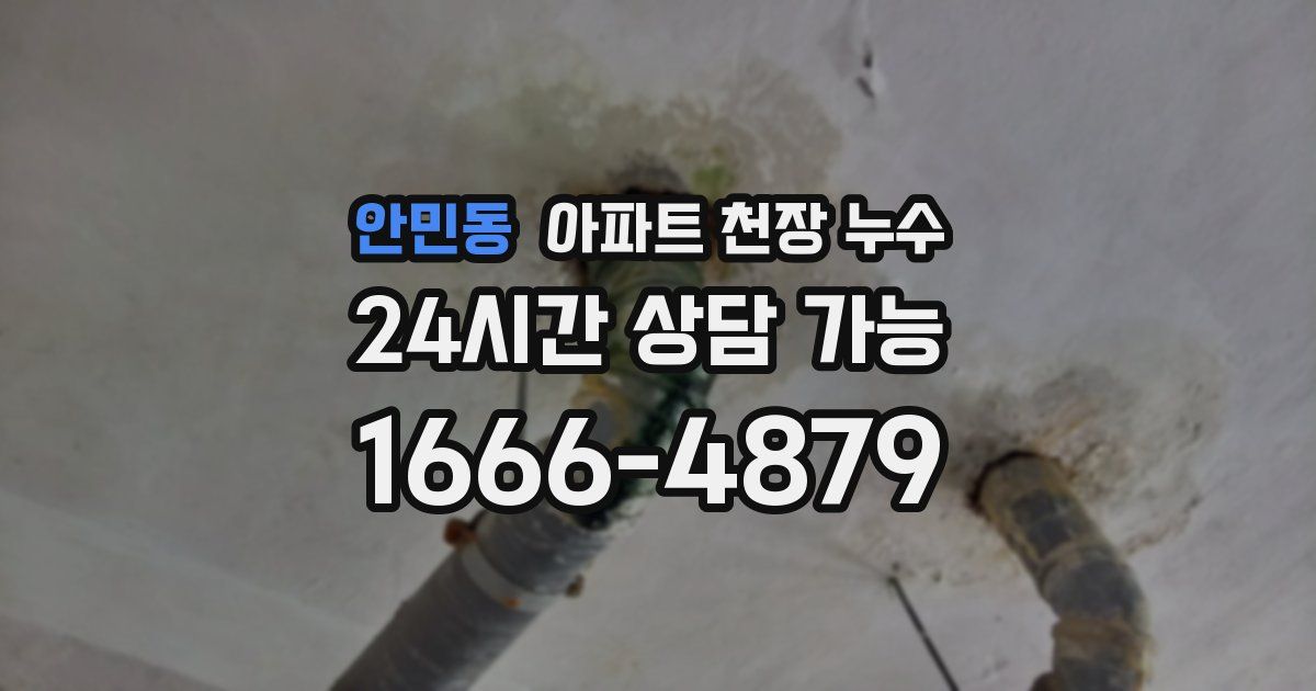 안민동 아파트 천장 누수