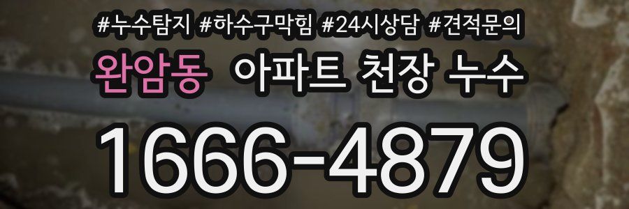 완암동 아파트 천장 누수
