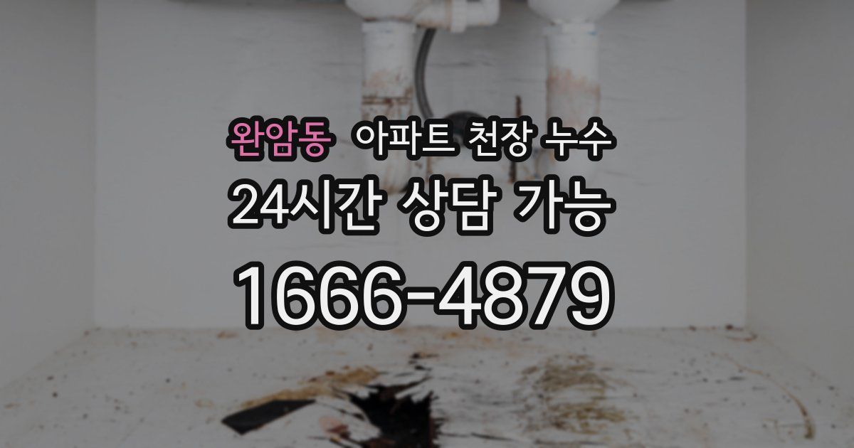완암동 아파트 천장 누수