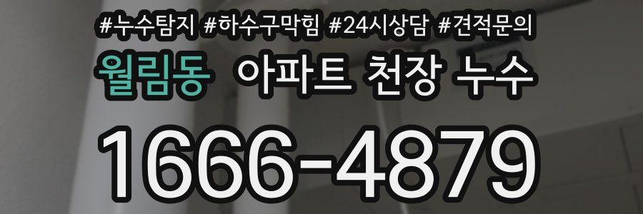 월림동 아파트 천장 누수
