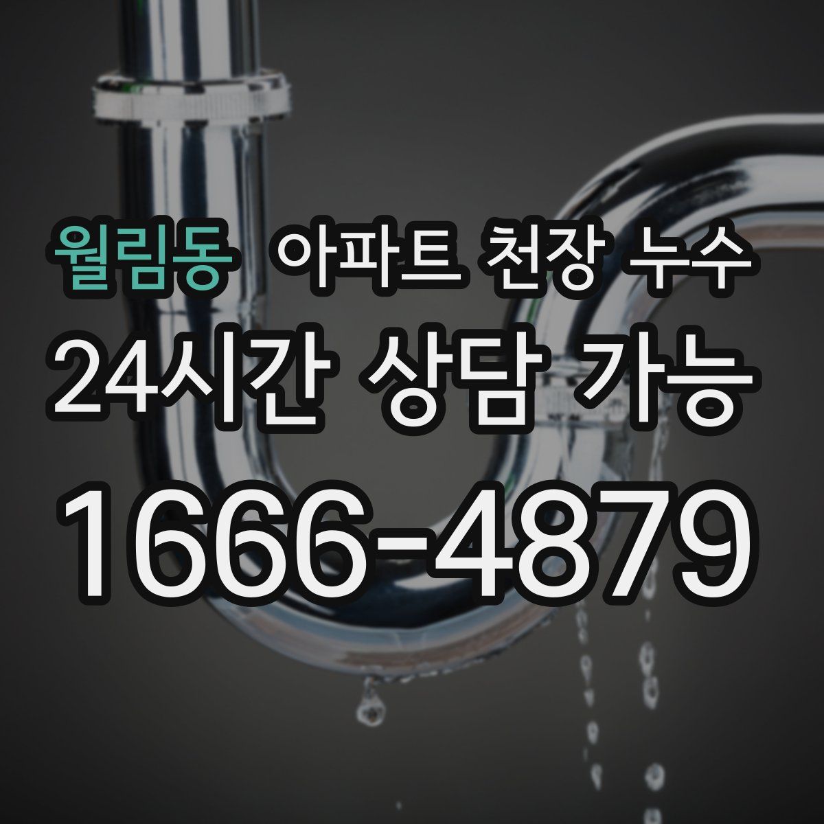 월림동 아파트 천장 누수