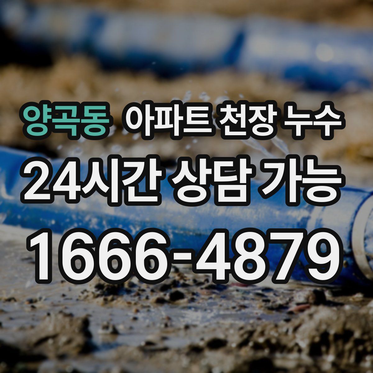 양곡동 아파트 천장 누수
