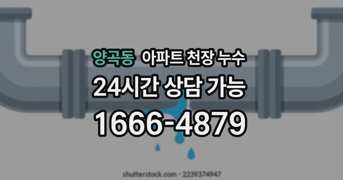 양곡동 아파트 천장 누수