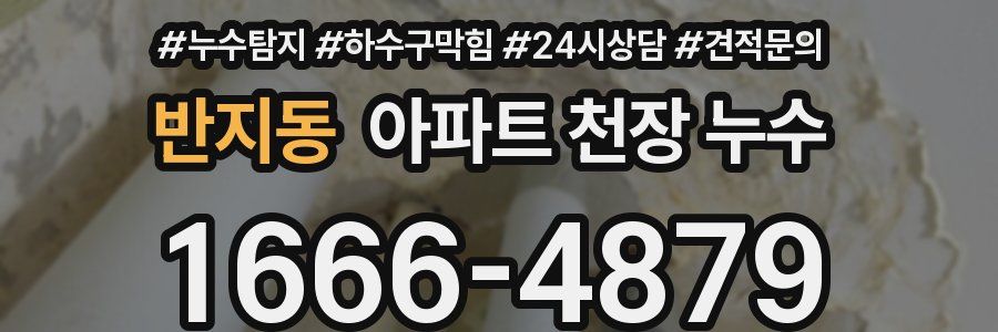 반지동 아파트 천장 누수
