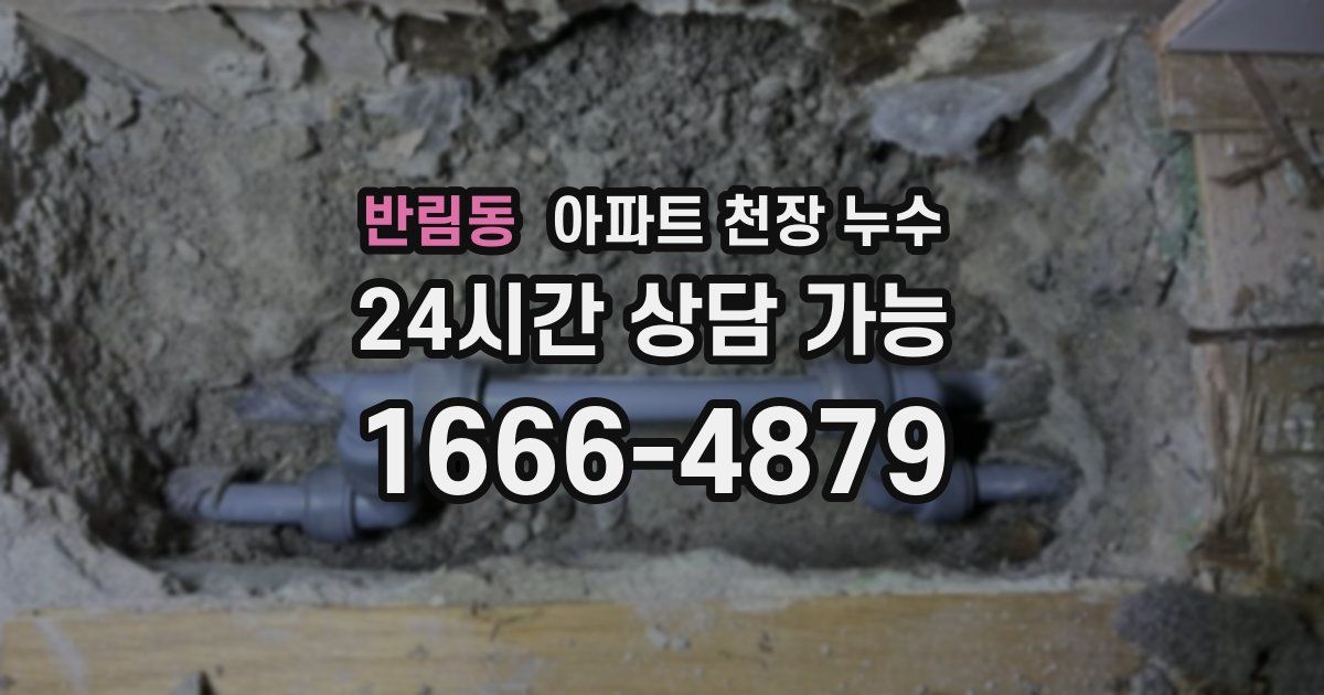 반림동 아파트 천장 누수