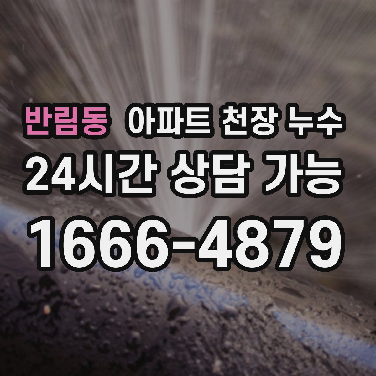 반림동 아파트 천장 누수