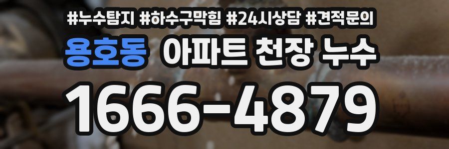 용호동 아파트 천장 누수