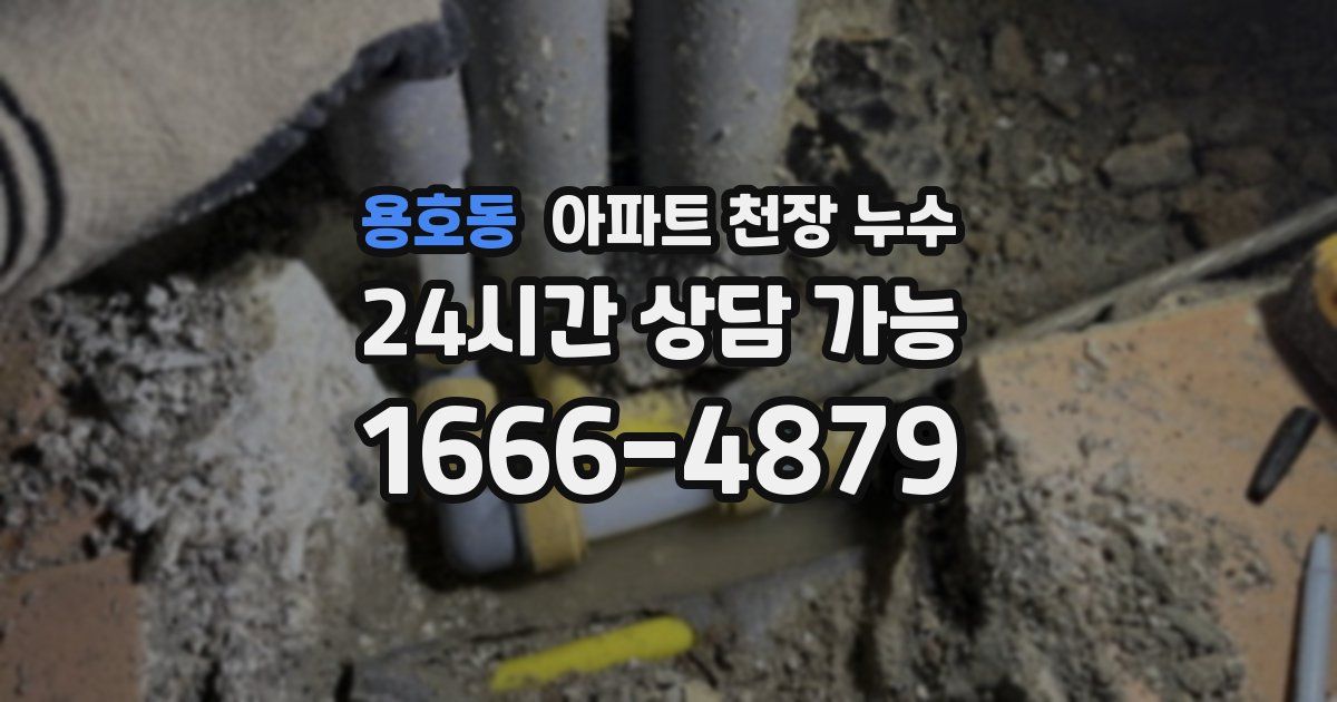 용호동 아파트 천장 누수