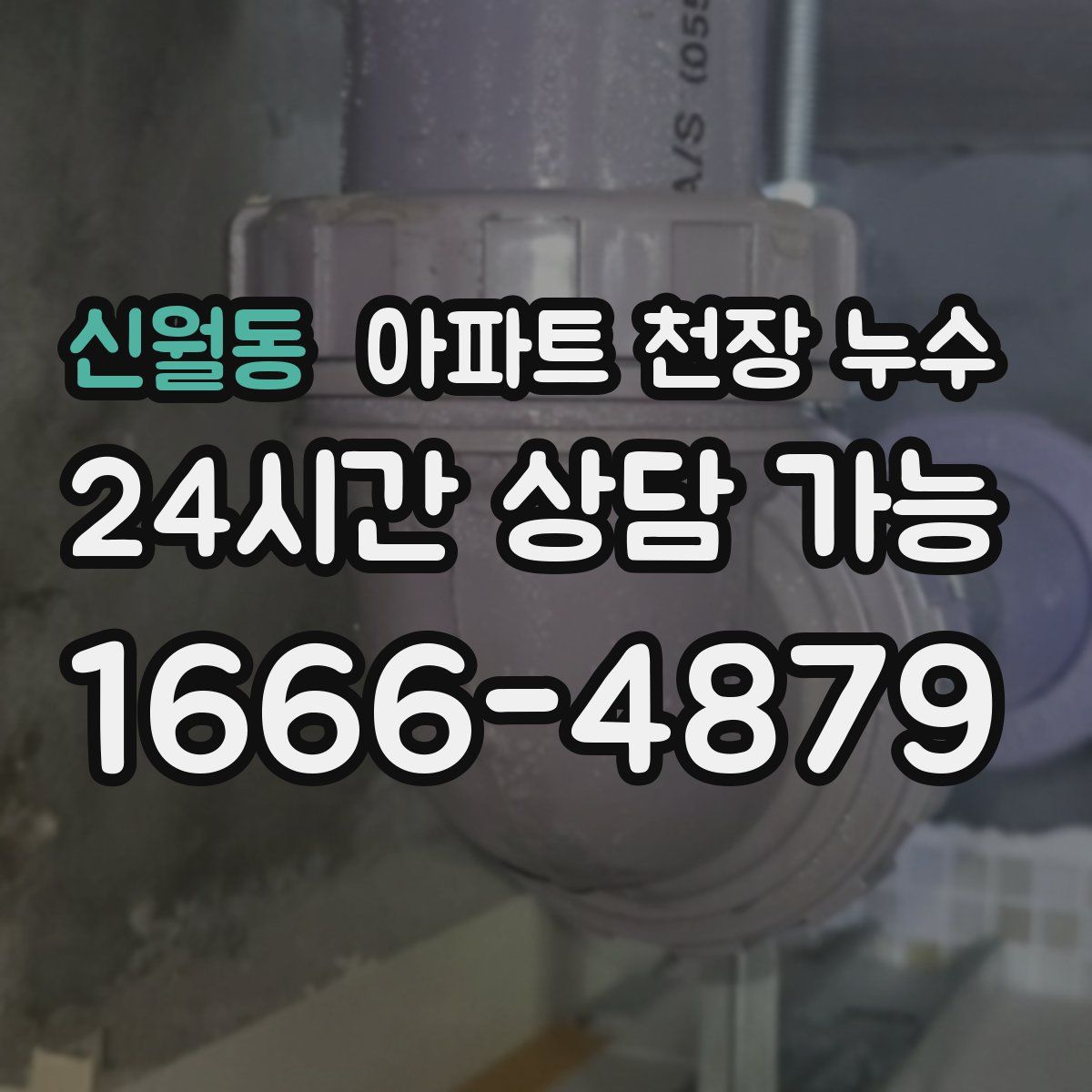 신월동 아파트 천장 누수