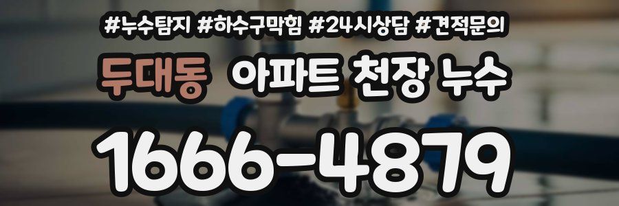 두대동 아파트 천장 누수