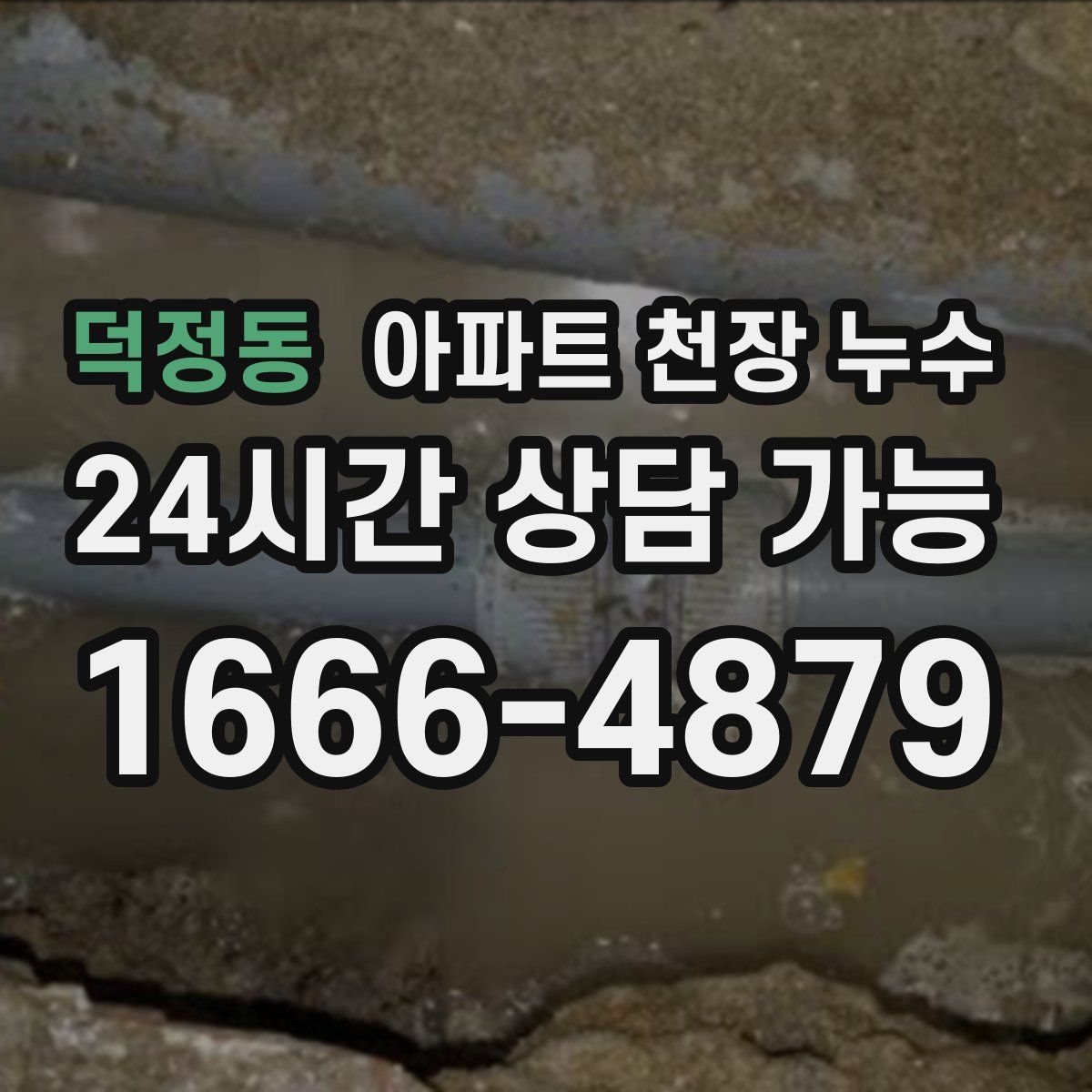 덕정동 아파트 천장 누수