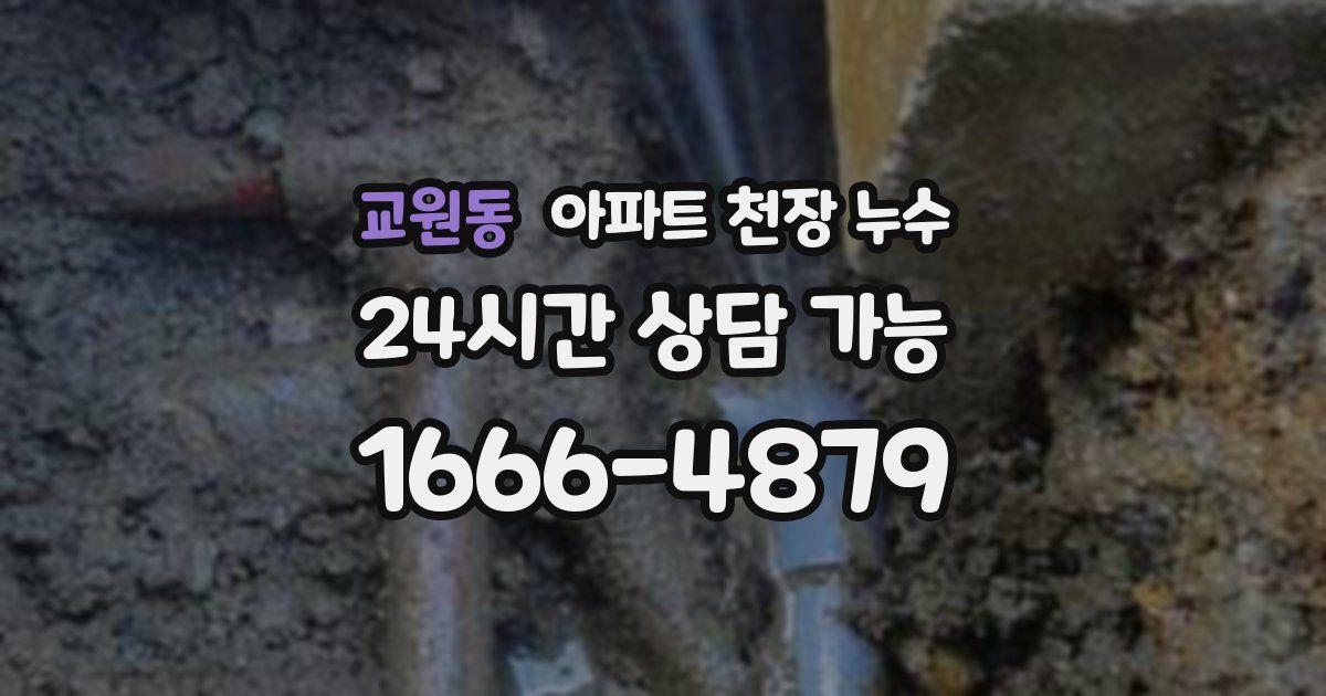 교원동 아파트 천장 누수