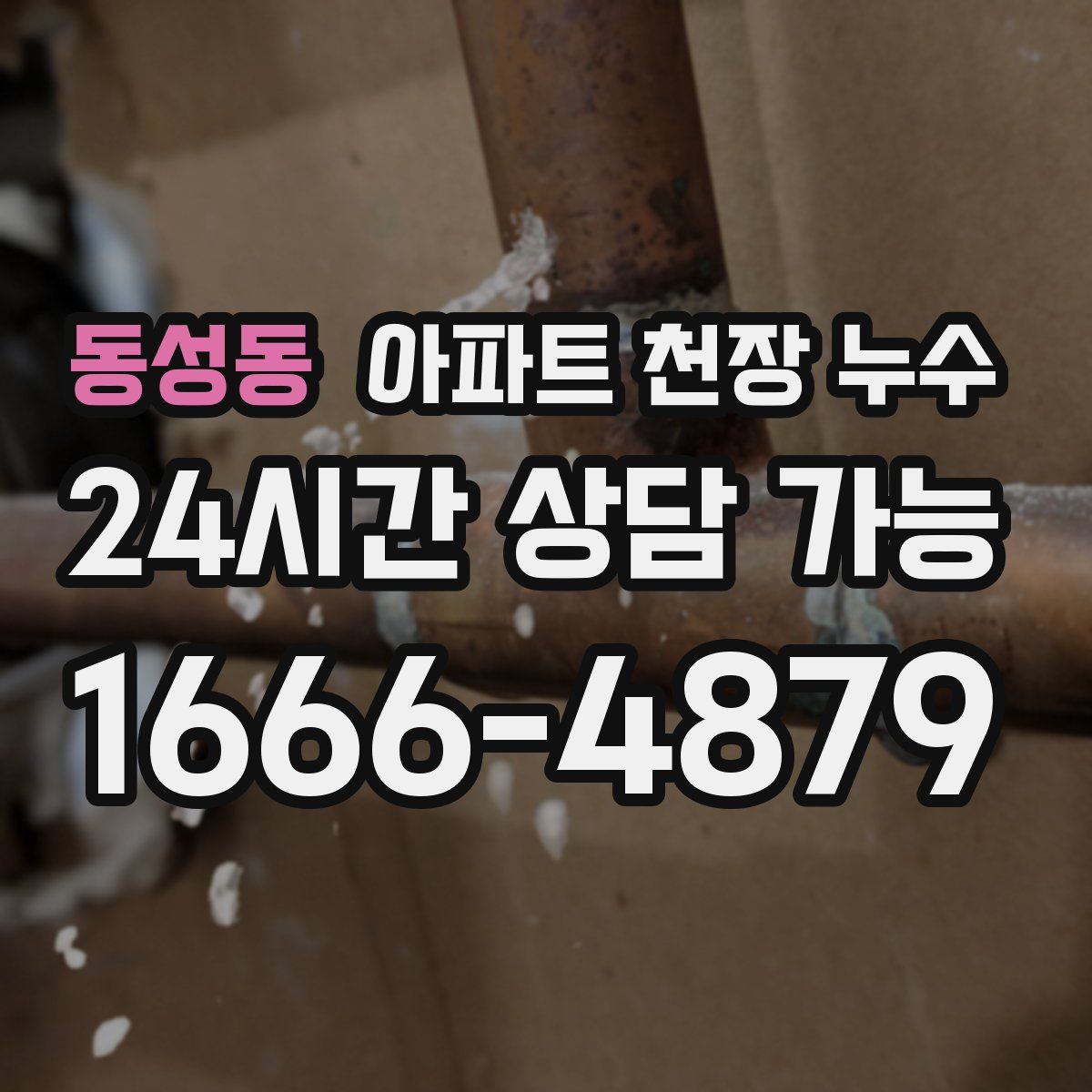 동성동 아파트 천장 누수