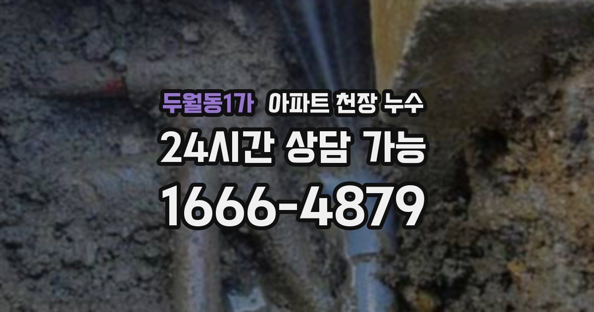 두월동1가 아파트 천장 누수