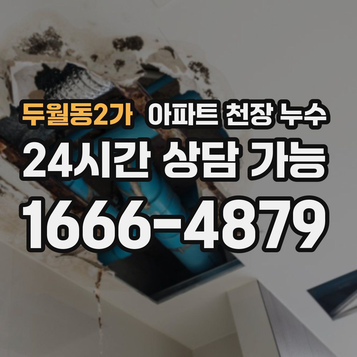 두월동2가 아파트 천장 누수