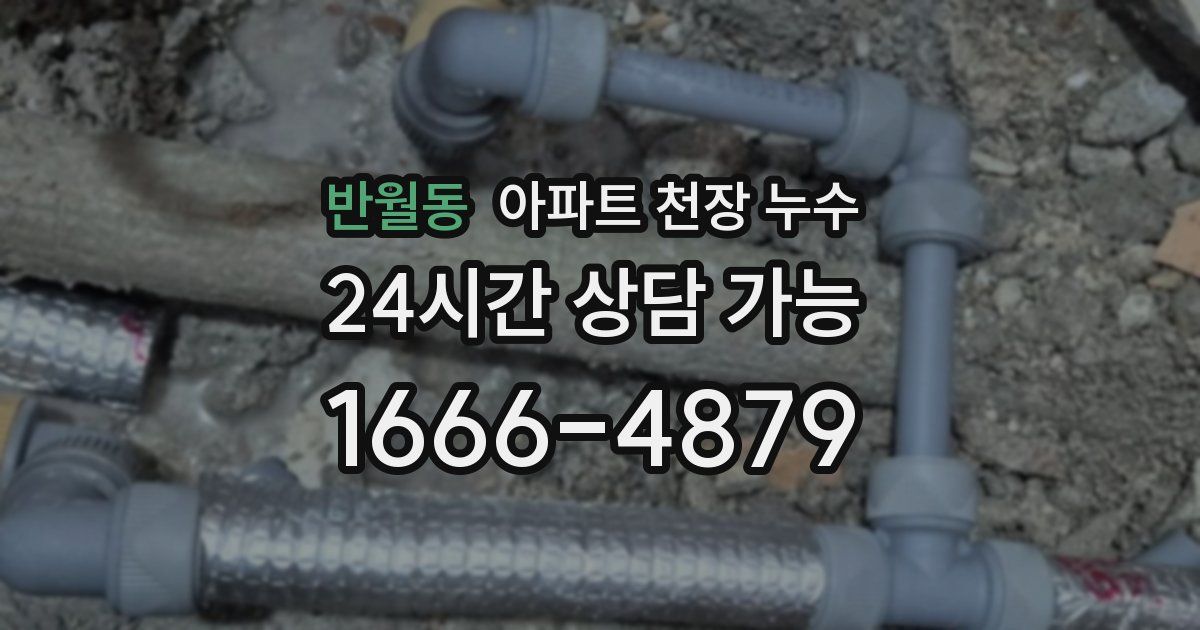 반월동 아파트 천장 누수