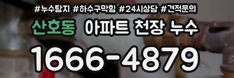 산호동 아파트 천장 누수
