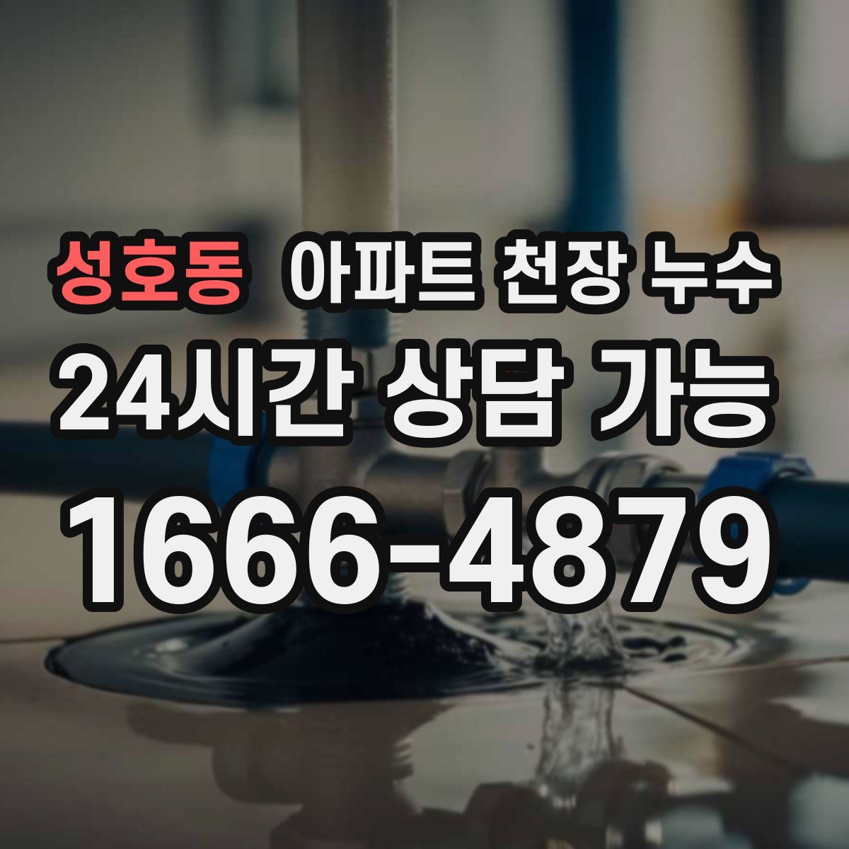 성호동 아파트 천장 누수