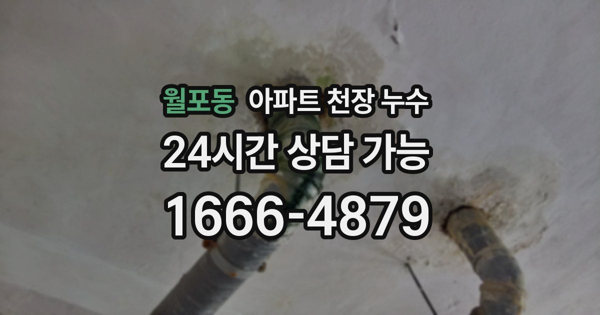 월포동 아파트 천장 누수