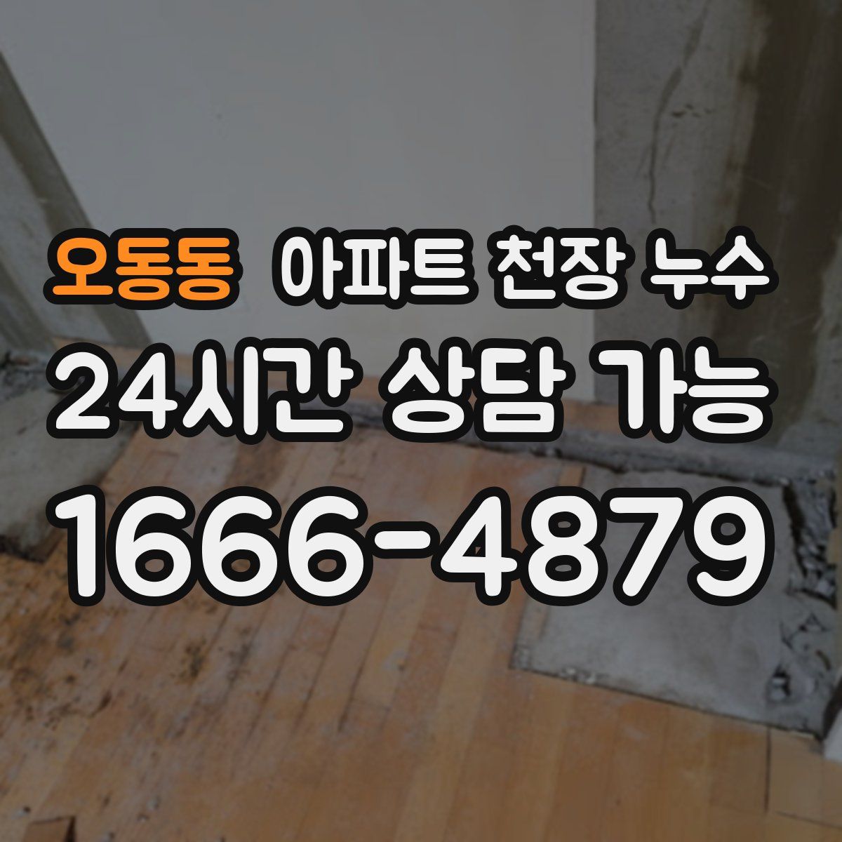 오동동 아파트 천장 누수
