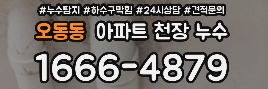 오동동 아파트 천장 누수