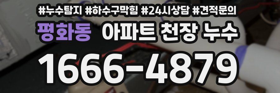 평화동 아파트 천장 누수