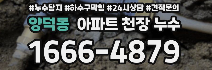 양덕동 아파트 천장 누수