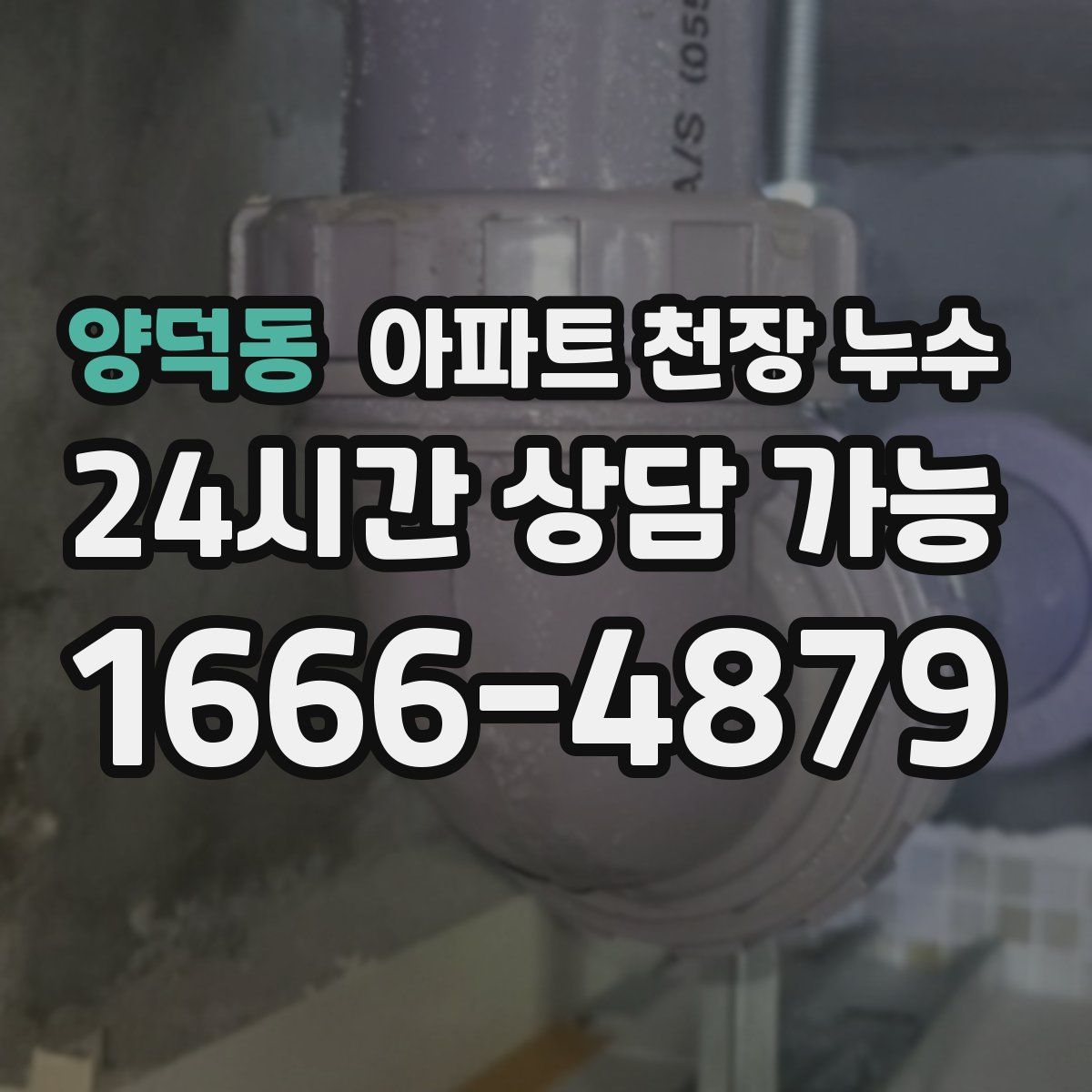 양덕동 아파트 천장 누수