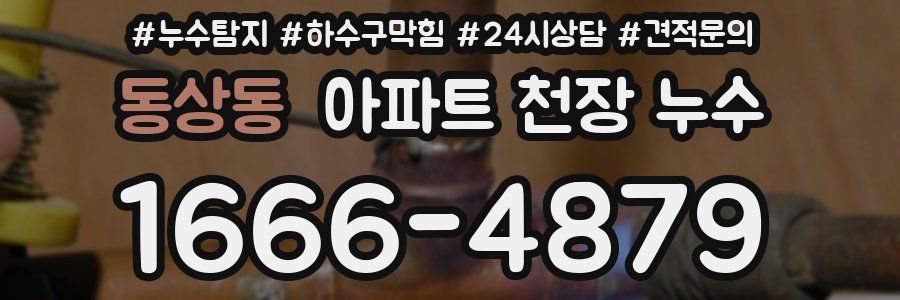 동상동 아파트 천장 누수