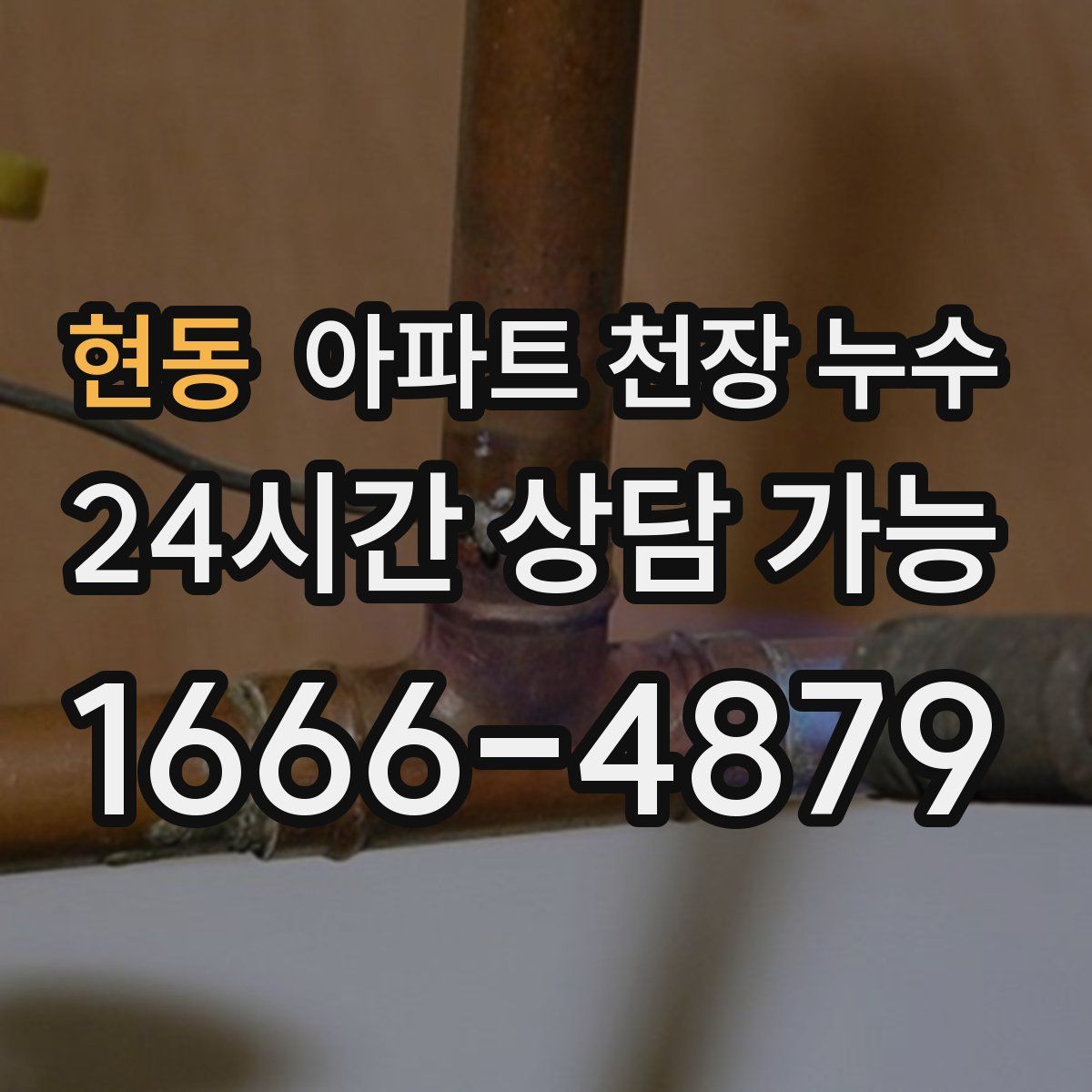 현동 아파트 천장 누수